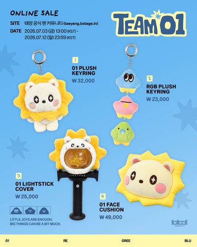 Team 01