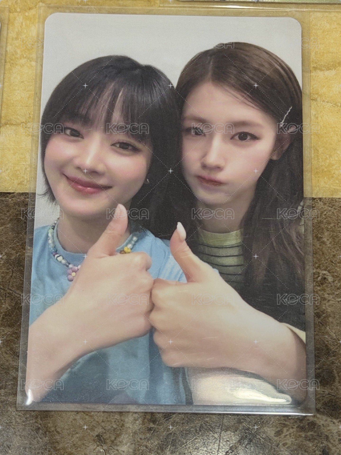 狗狗姐妹