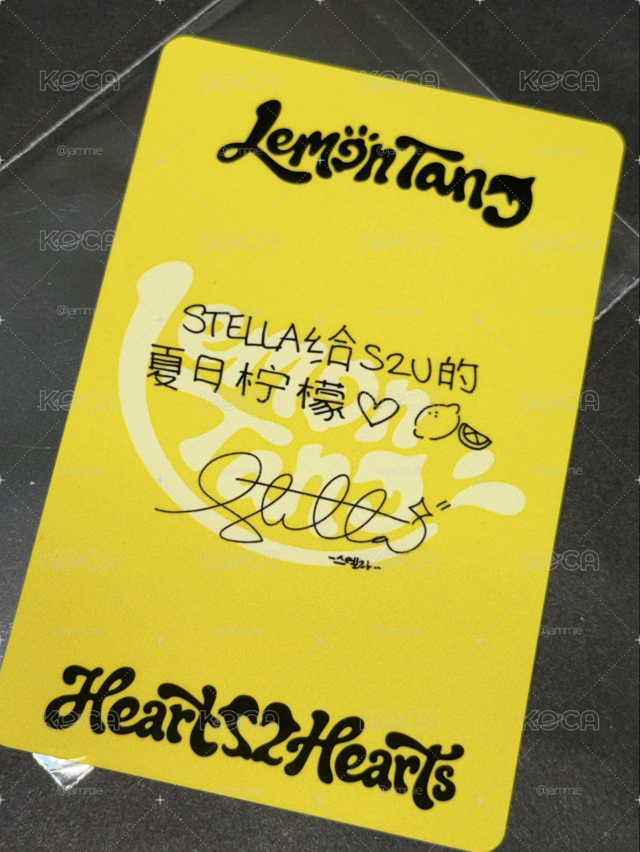 現貨 Stella QQ音樂痛樓中背卡 阿貢包