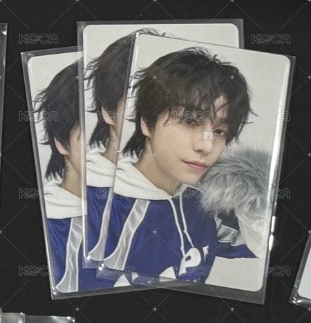 狼小狼