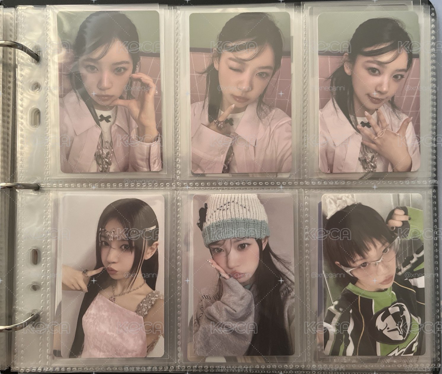 萌大盤