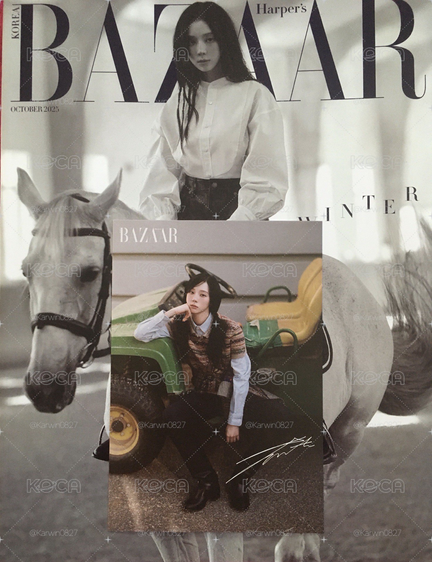 冬芭莎雜誌