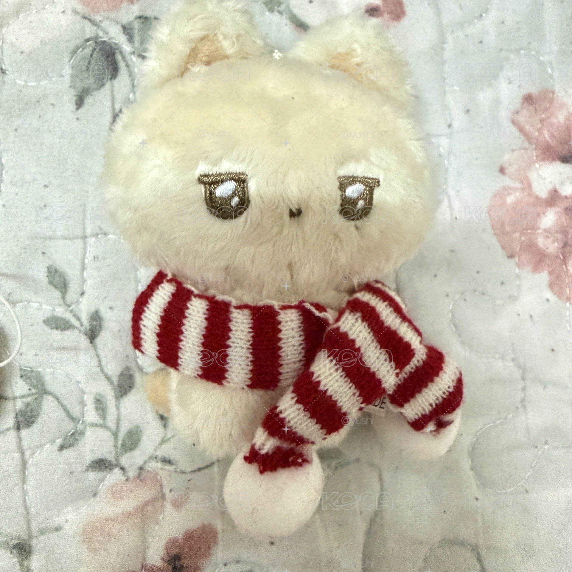 眼鏡餃子同款圍巾🧣 現貨