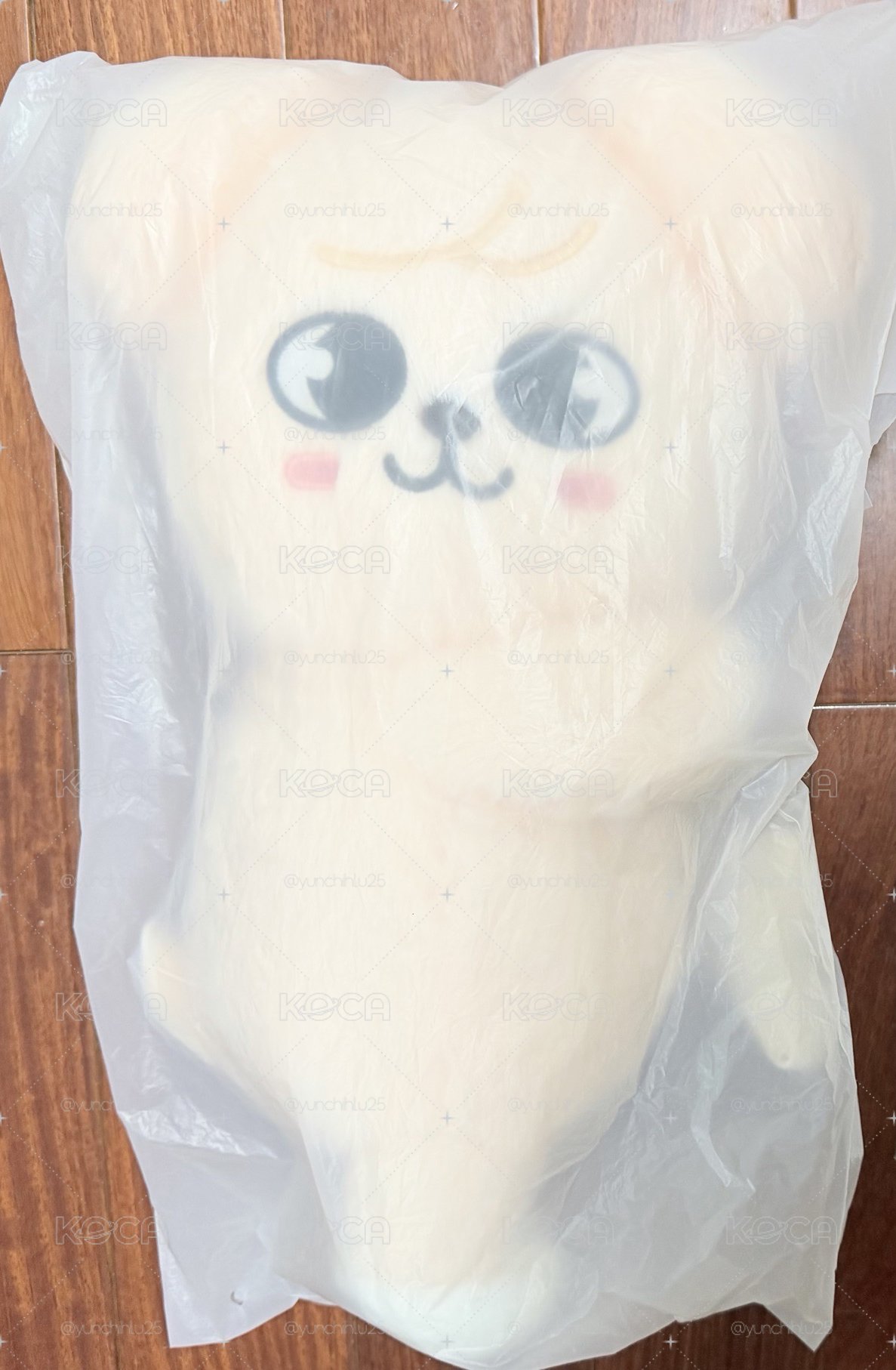 側背玟小盤