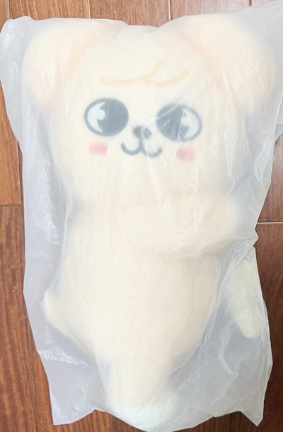 側背玟小盤