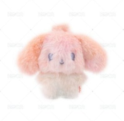 Search image