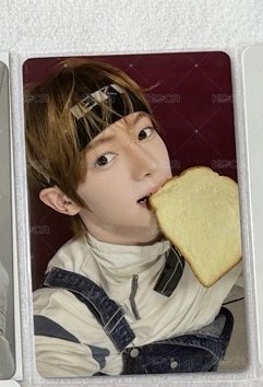 咬吐司🍞