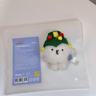 MINITEEN HOLIDAY PPYOPULI WOOZI 勳 現貨