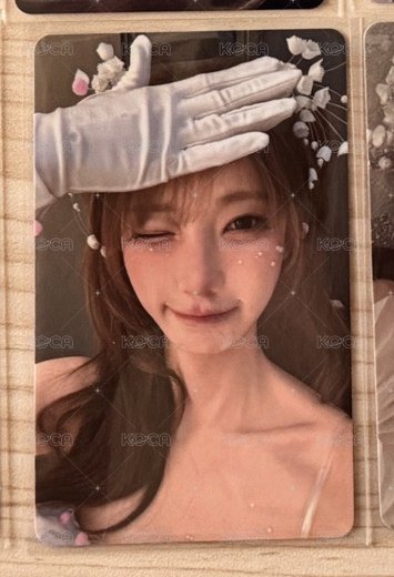 wvs預售塔