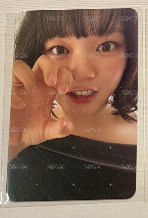 定延秀狗爪