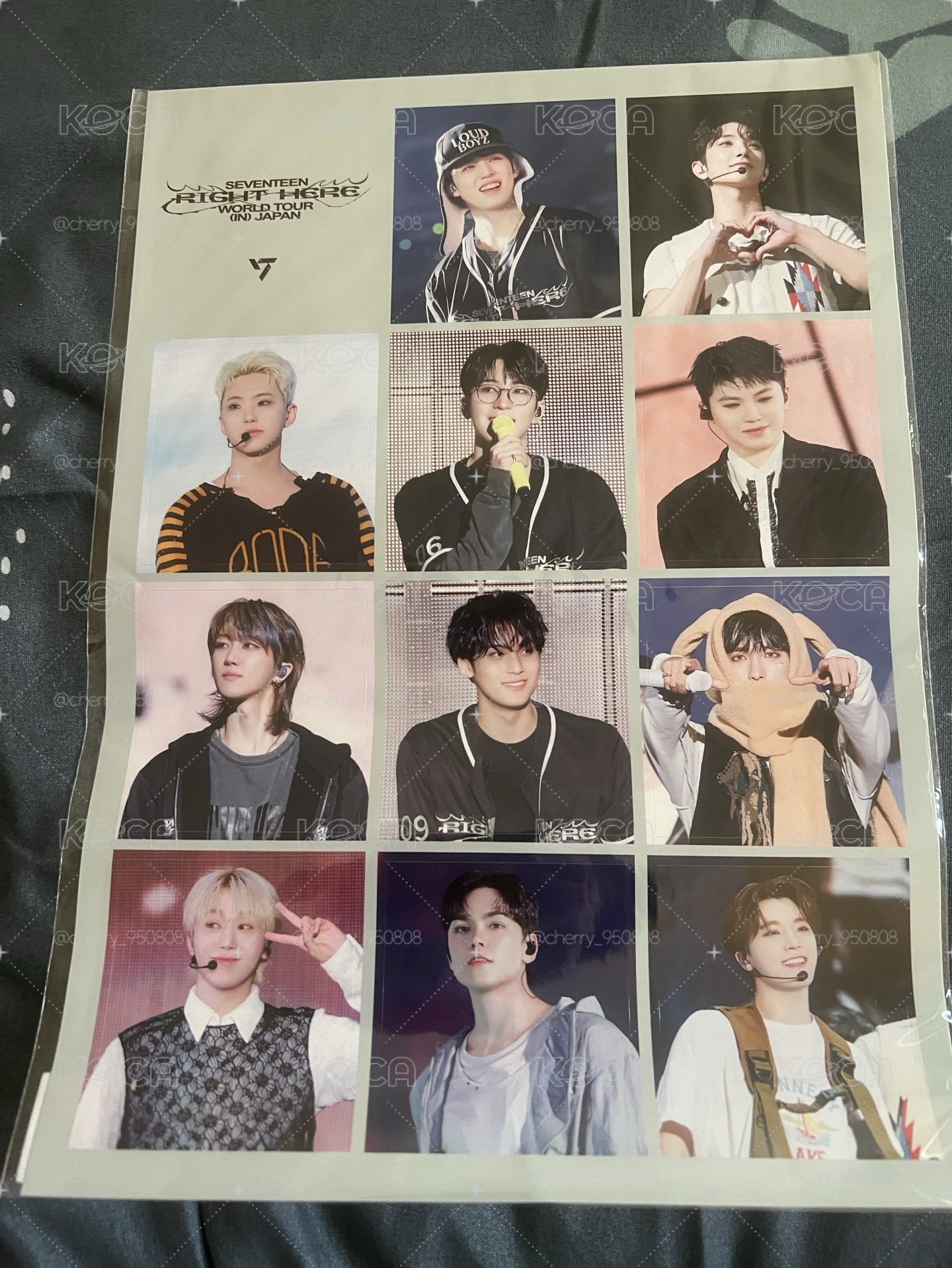 SEVENTEEN RH 日本dvd 特典貼紙組