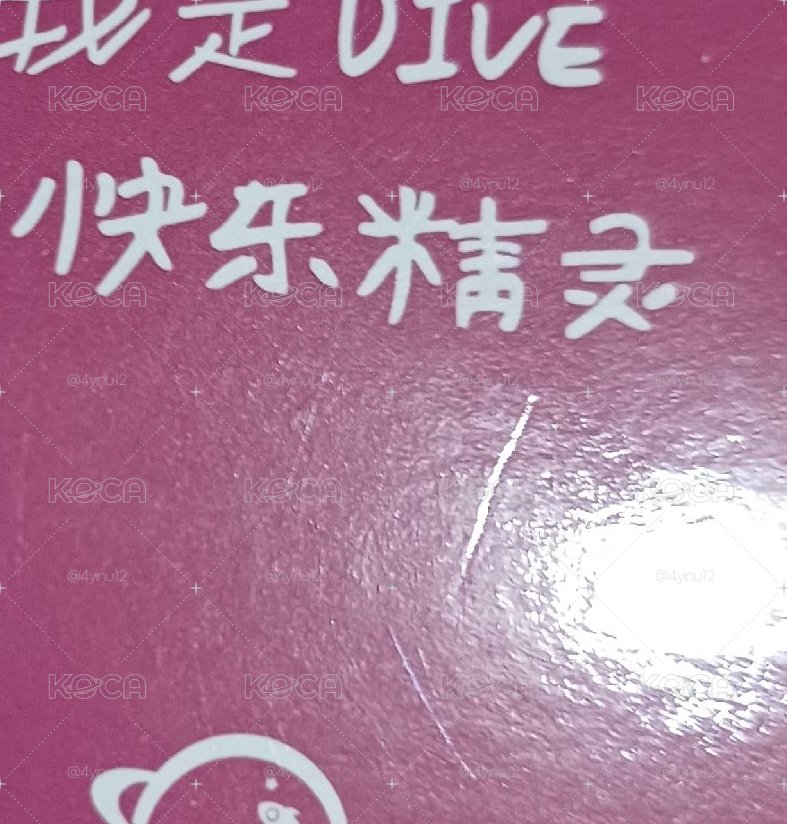 🪽中背瑞
