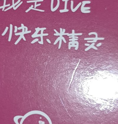 🪽中背瑞