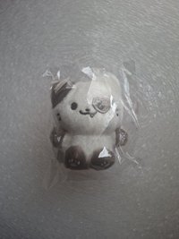 志坐娃