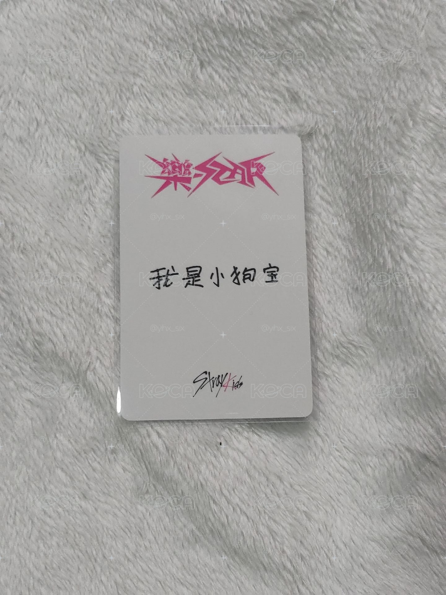 yzy末場簽售卡 我是小狗寶