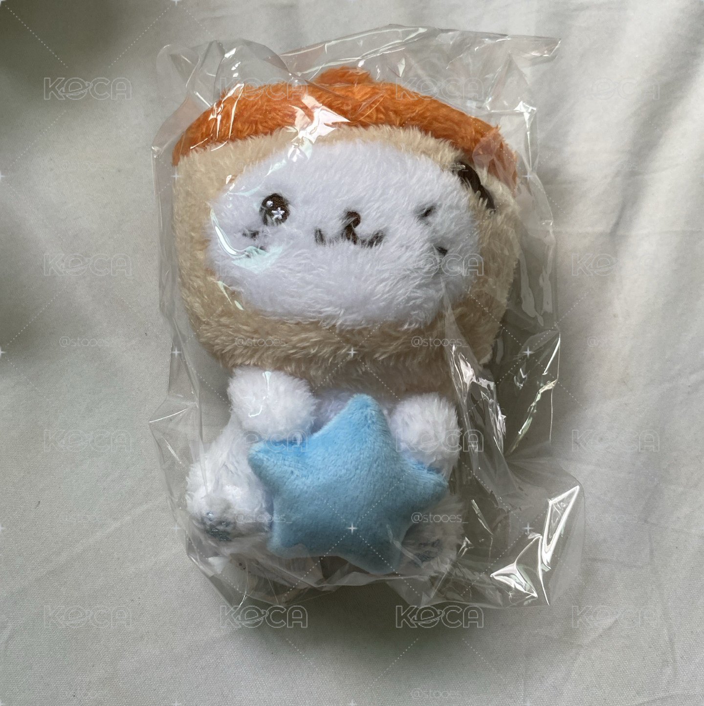 星星娃