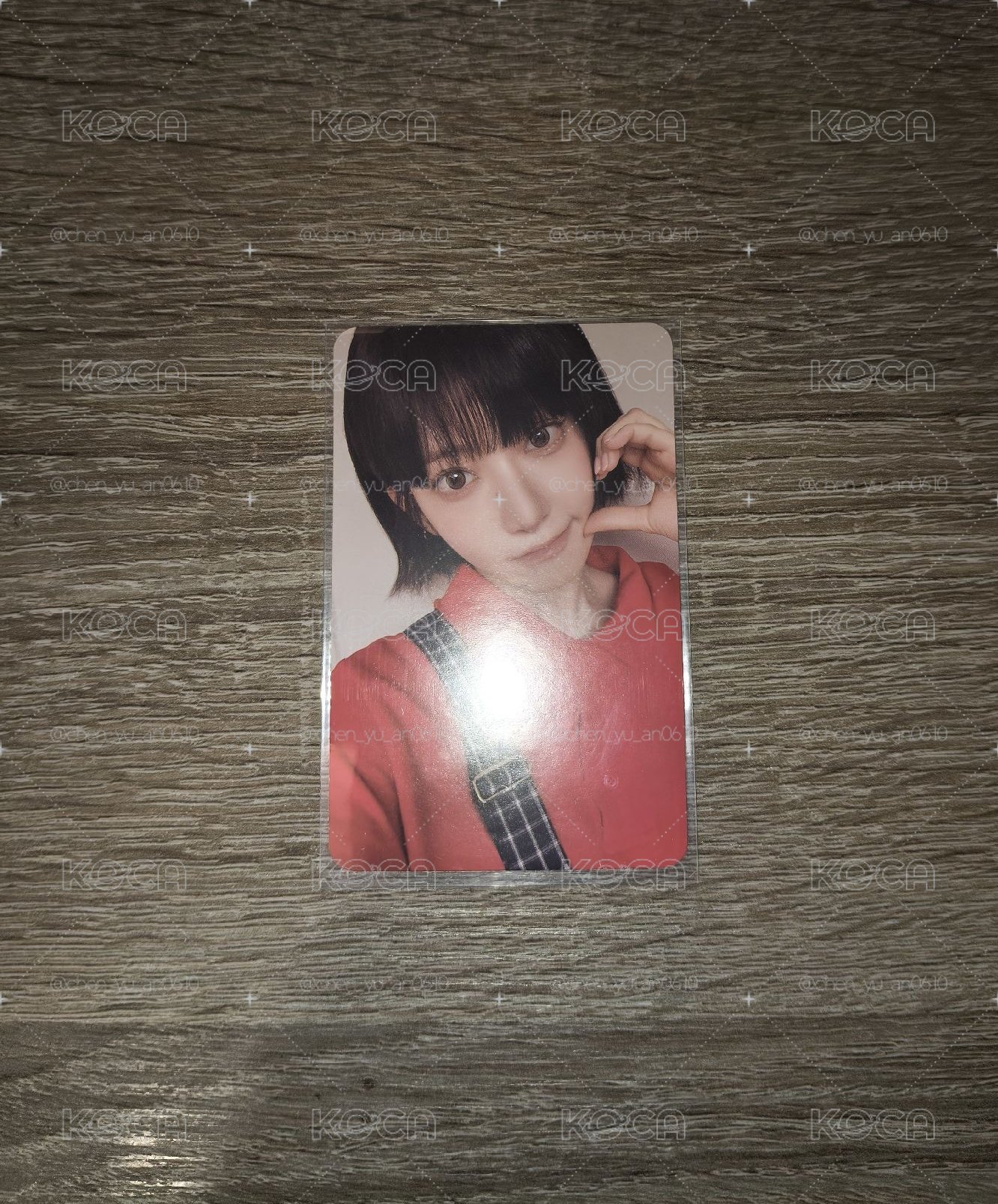 櫻親簽全專