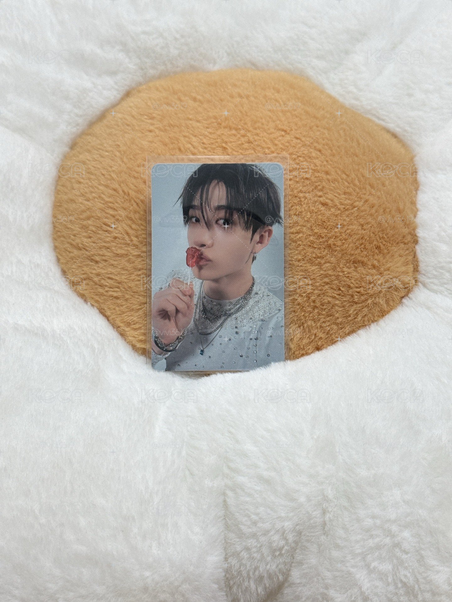 SKZ GIANT專卡 燦