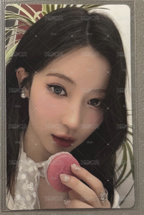 wvs馬卡龍角