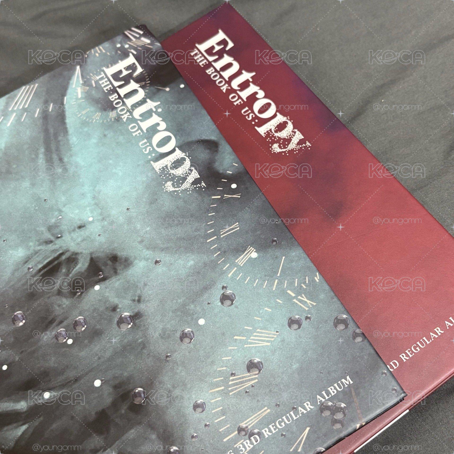 Entropy 空專 兩版不拆(需多帶賣場🍀小卡)