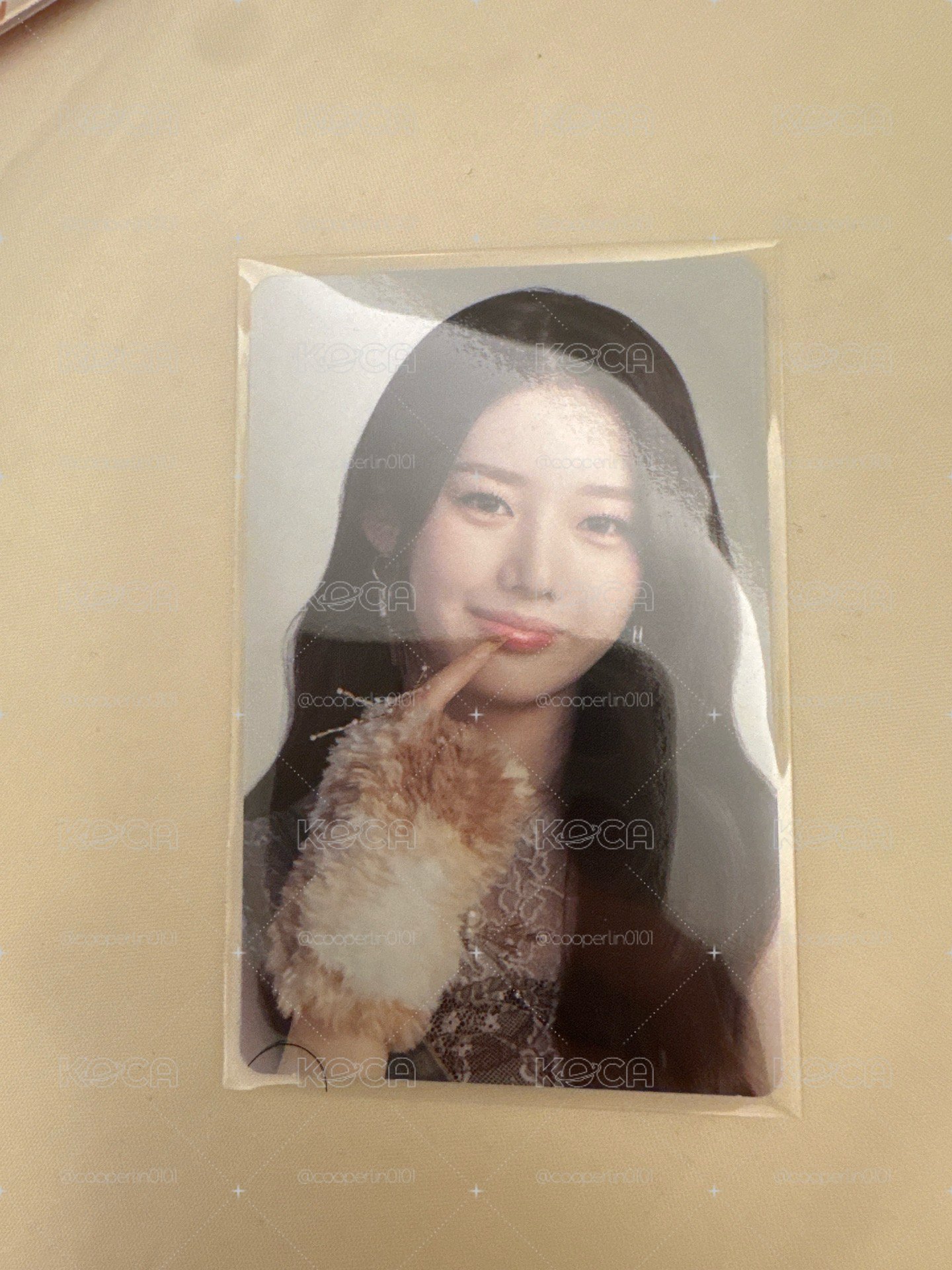 rora 專卡