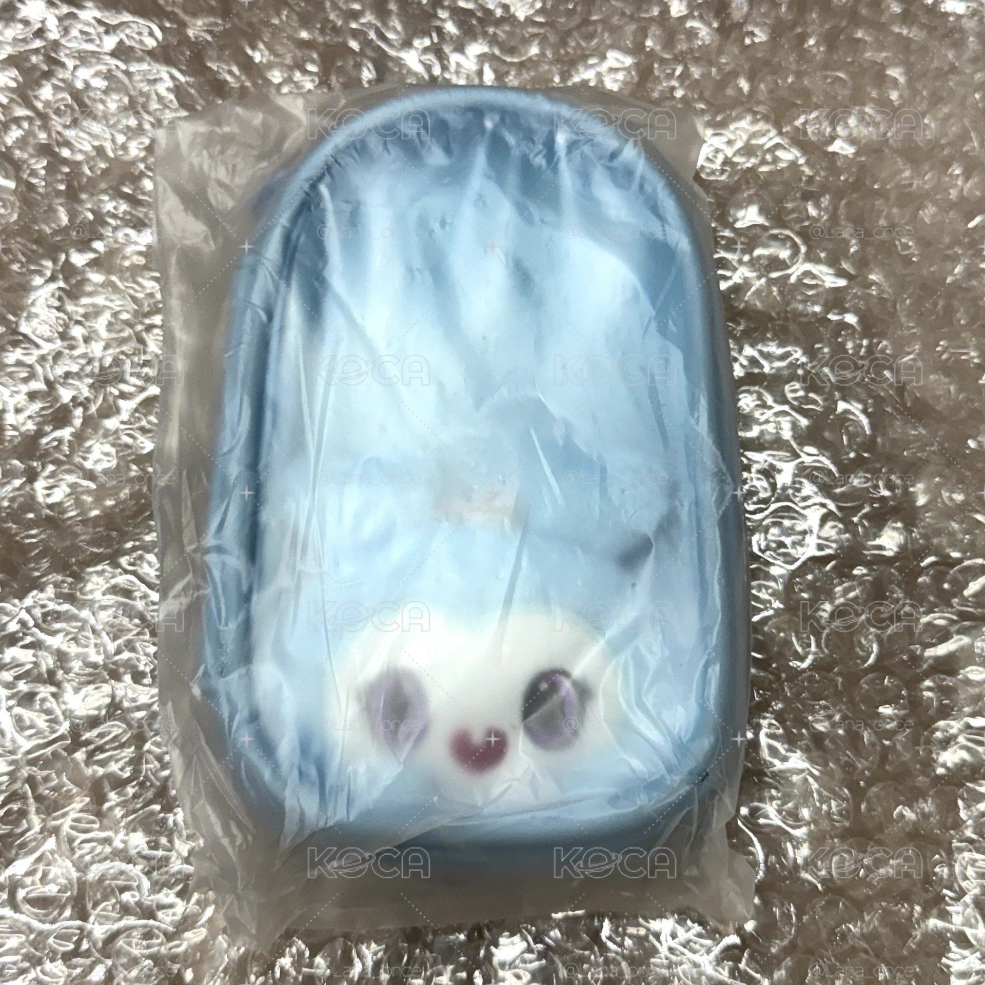 五巡SPECIAL 娜璉立牌痛包
