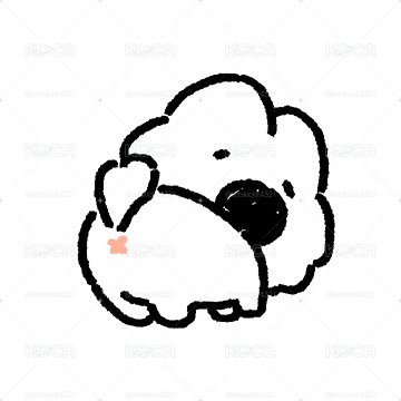 EXO CHEN 小卡多張 售售售
