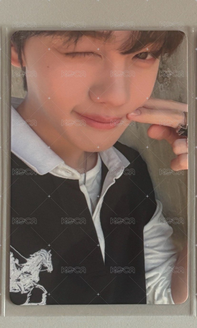 奎