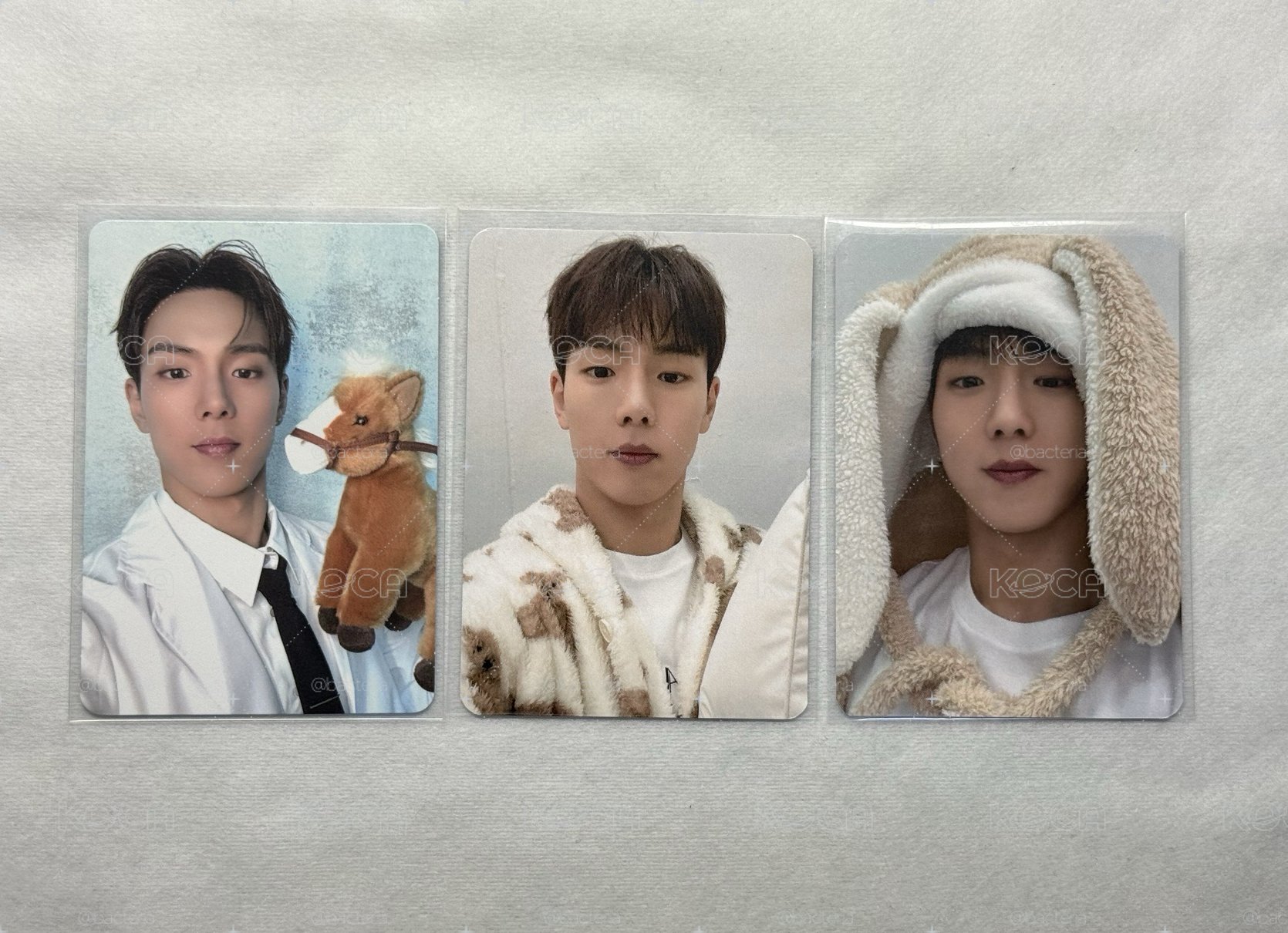 SHOWNU 年曆特典/THEX簽售特典