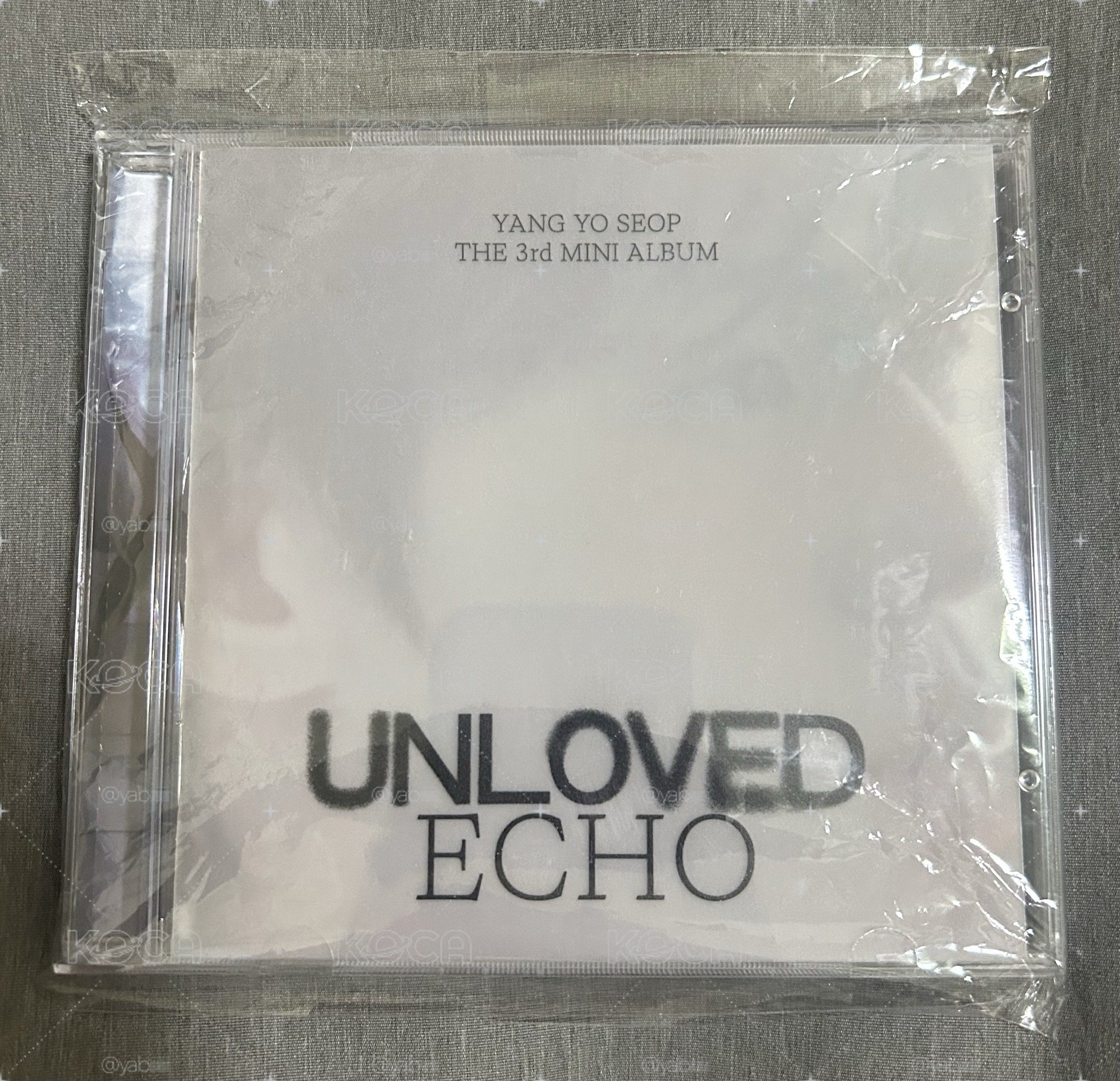 梁耀燮 unloved 空專