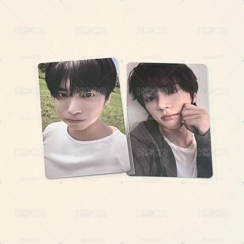 小貓小狗萌卡