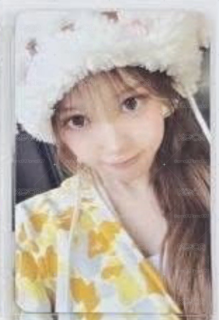🎀帽帽菲