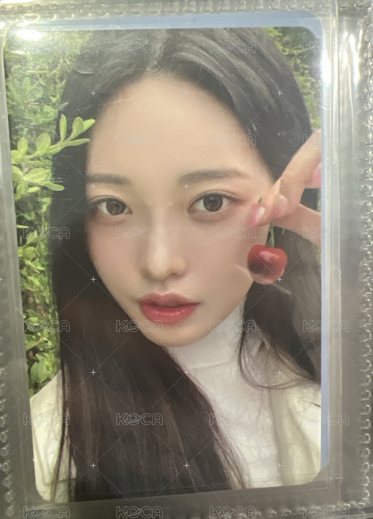 紅豆冰專卡2