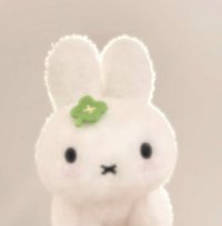 비키