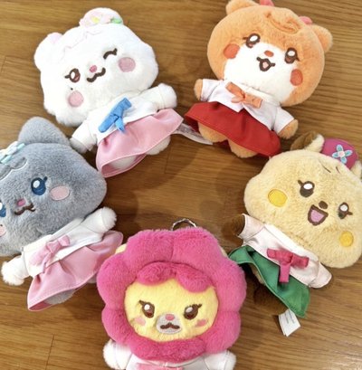⚡️全新未拆封韓服娃 全成員（不含卡）