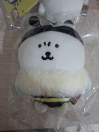 蜜蜂熊