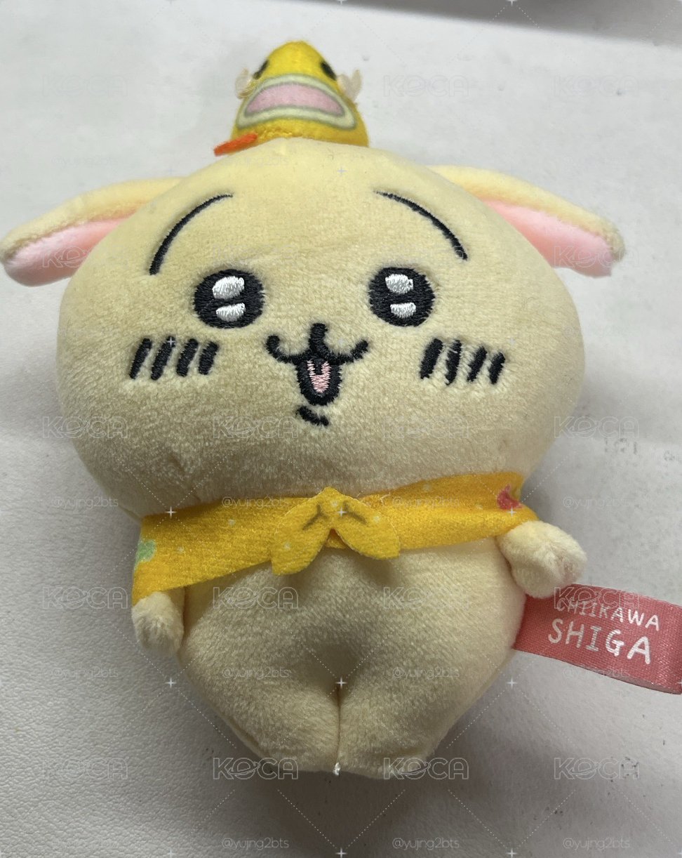兔兔