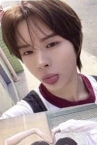 DICON 雜誌卡 