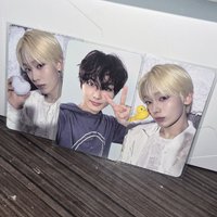 兩金中間有隻小貓