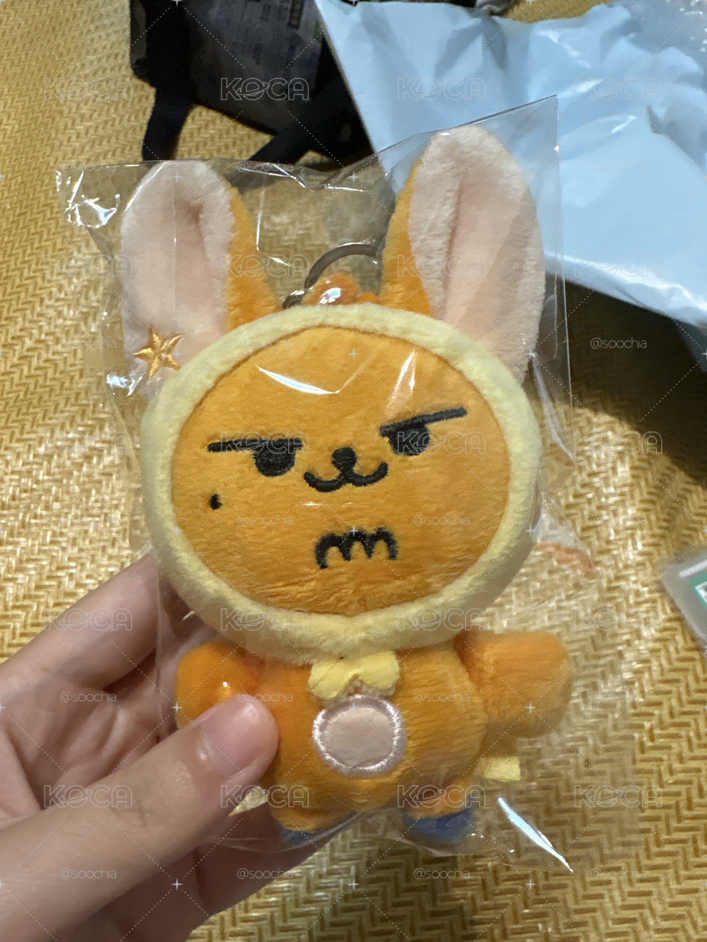 原皮黃春（不直出需綁