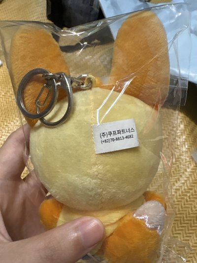 原皮黃春（不直出需綁