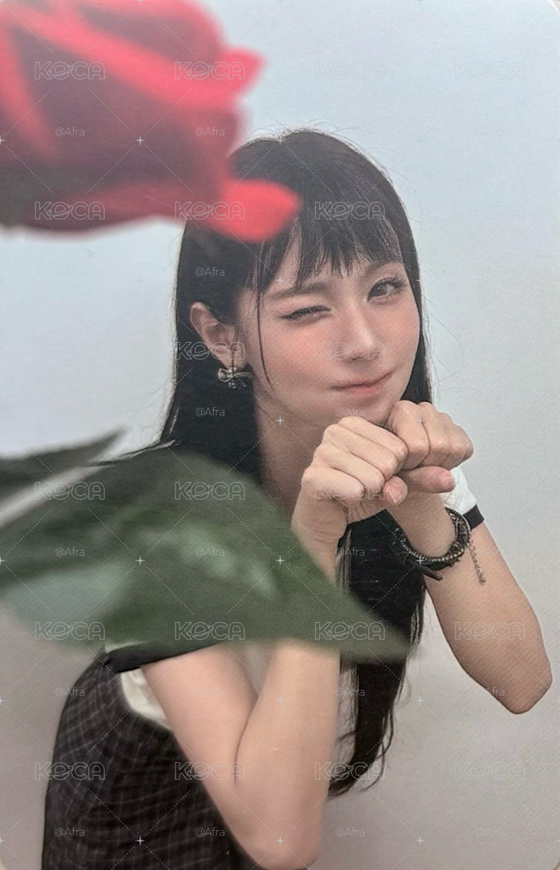 玫瑰闊卡