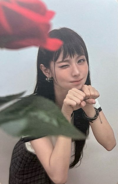 玫瑰闊卡