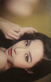 Lion Heart 周邊卡 貼紙卡