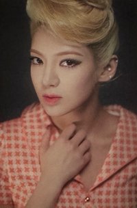 Lion Heart 周邊卡 貼紙卡