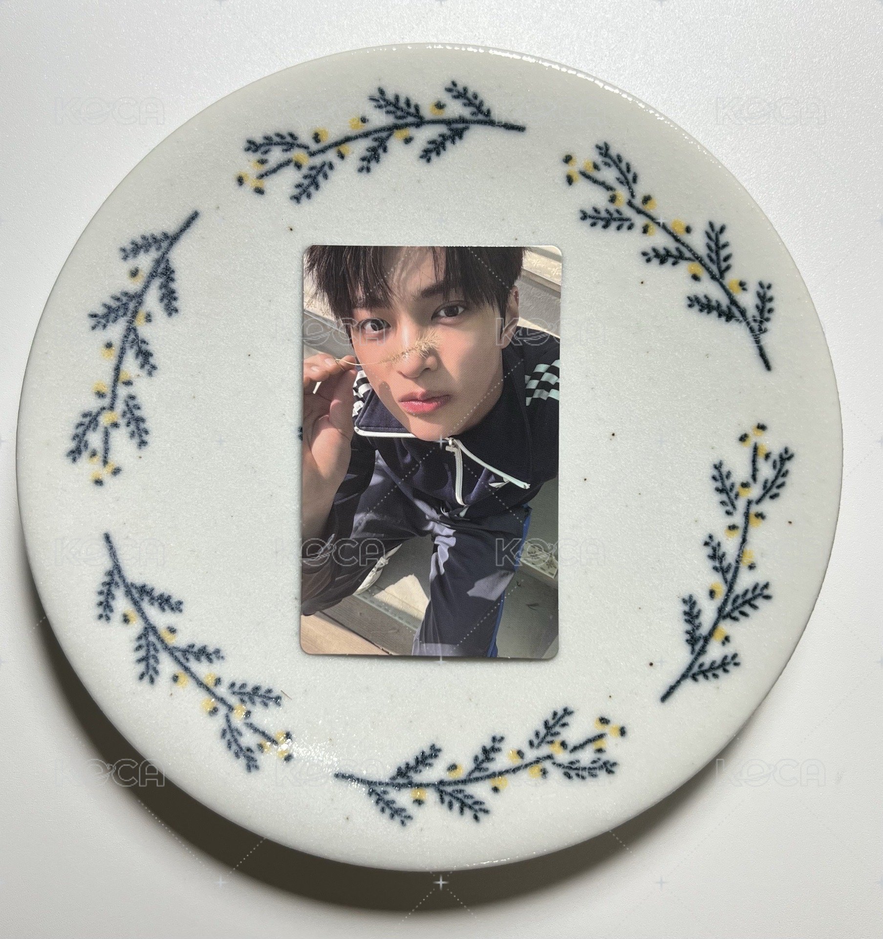 小狗採路邊野草
