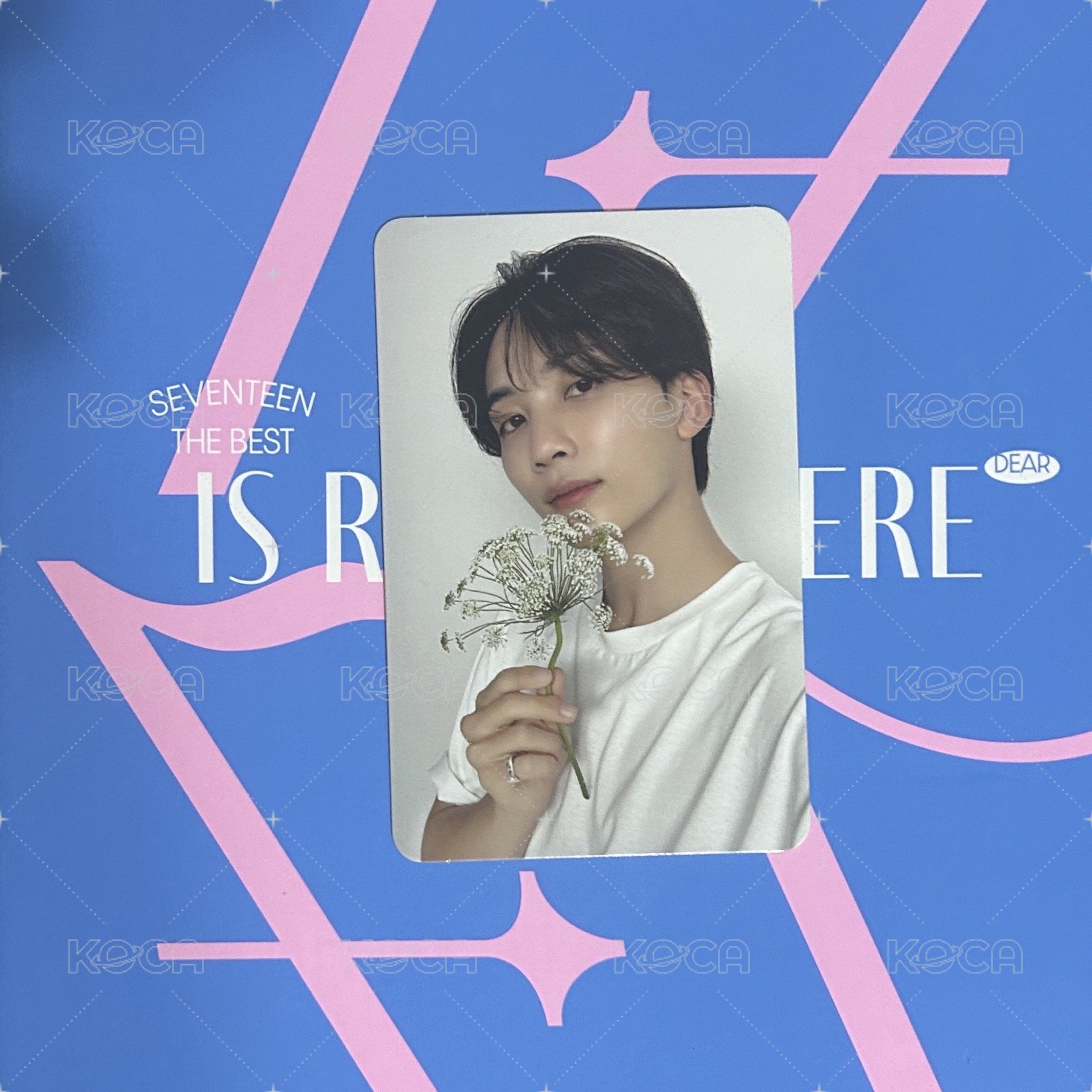精選專克拉盤 1