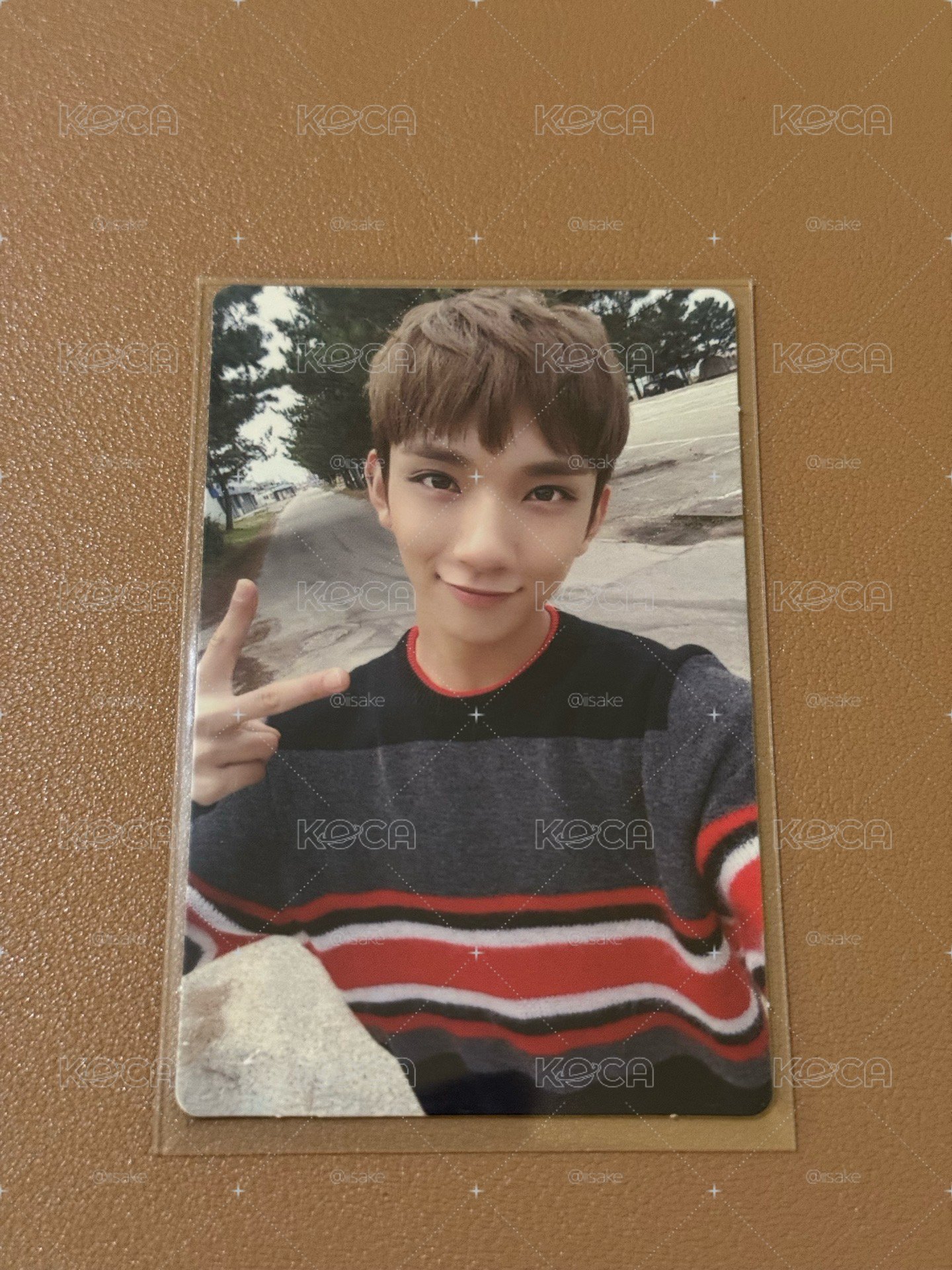SVT JOSHUA 知秀 迷3