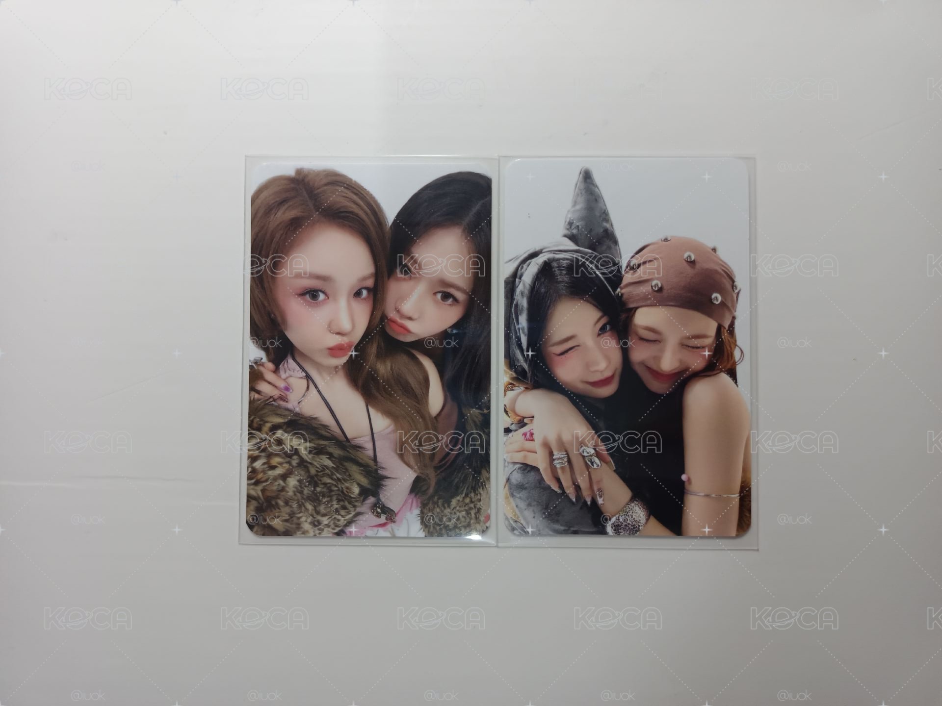 塔茶角柒 雙人卡 🦌🐼🐰😺