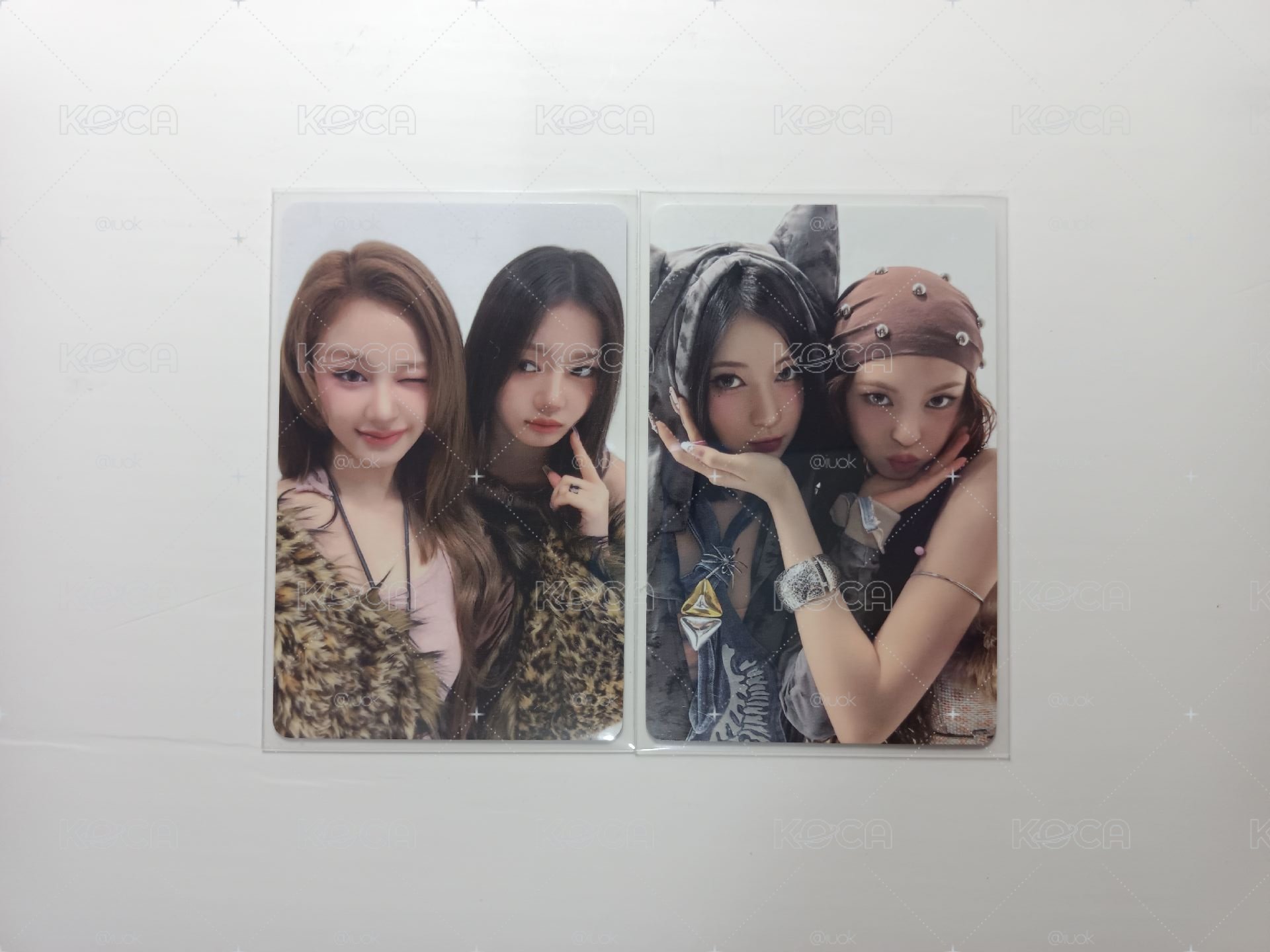 塔茶角柒 雙人卡 🦌🐼🐰😺